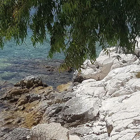 Bayside House דירה *